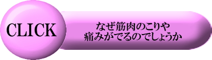 なぜ筋肉のこりや痛みがでるのでしょうか？案内バナー