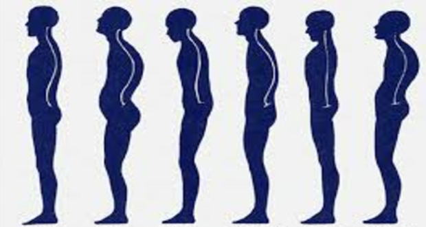 姿勢のイラスト一覧