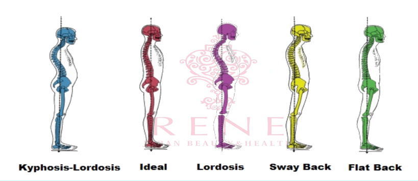 姿勢の種類のイラスト