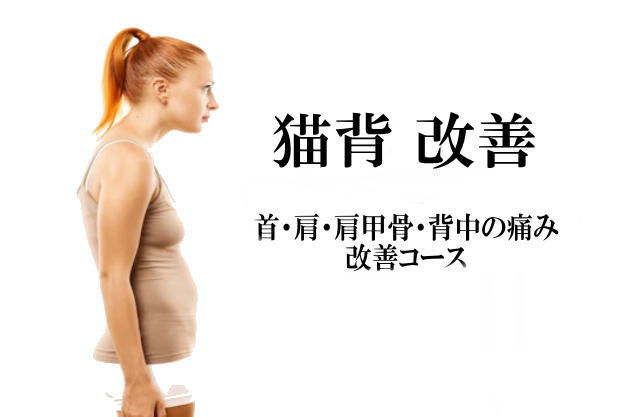 猫背を改善する施術を紹介